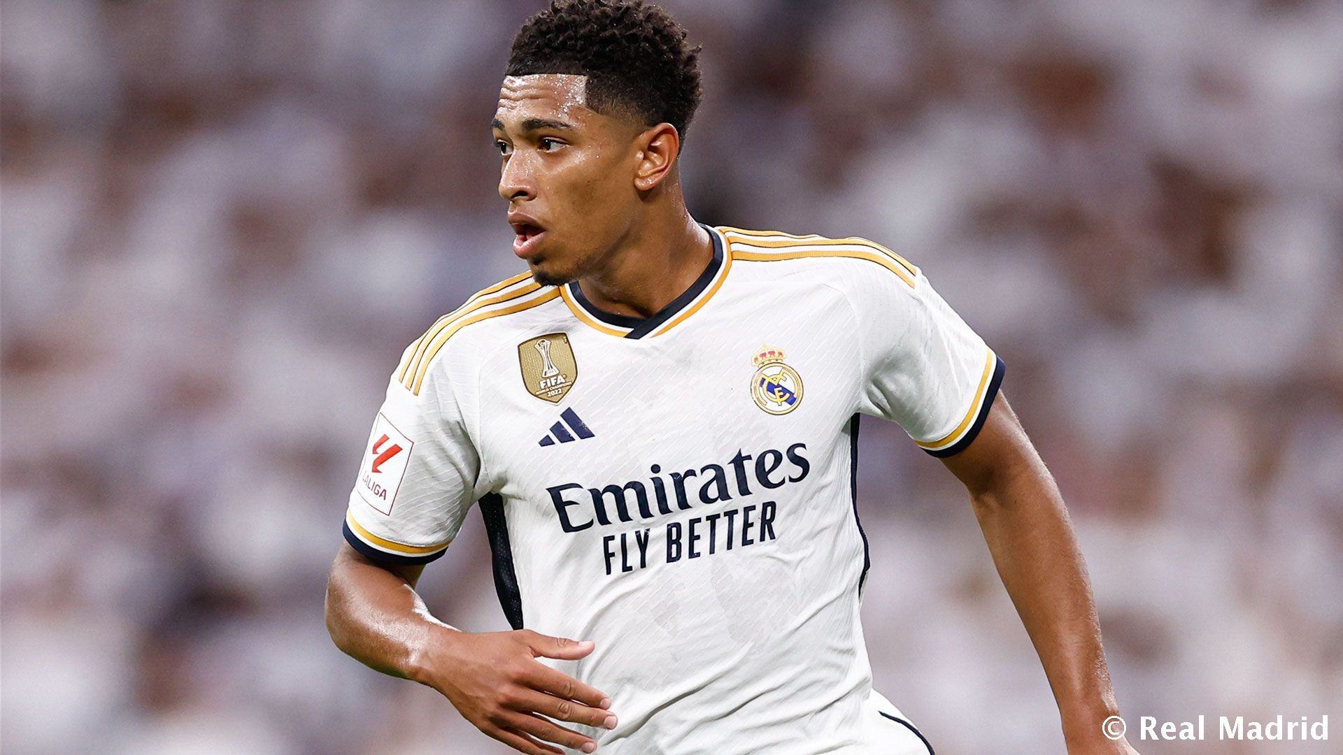 证据确凿 证据确凿