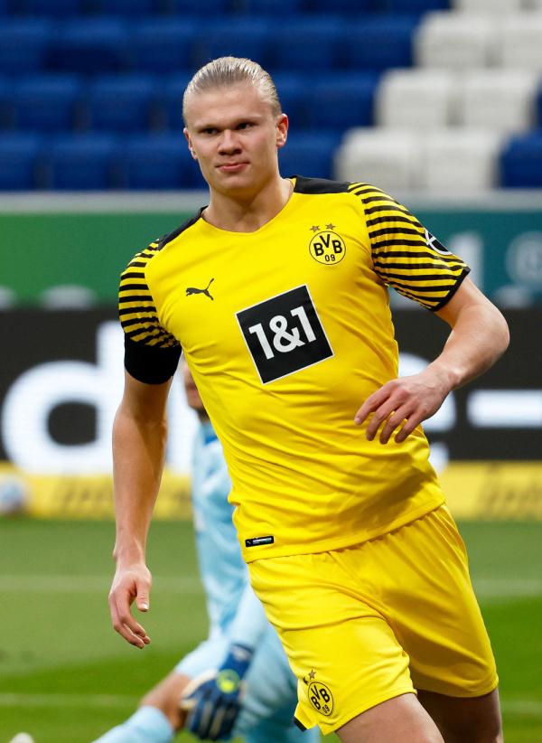 伤愈回归的 伤愈回归的