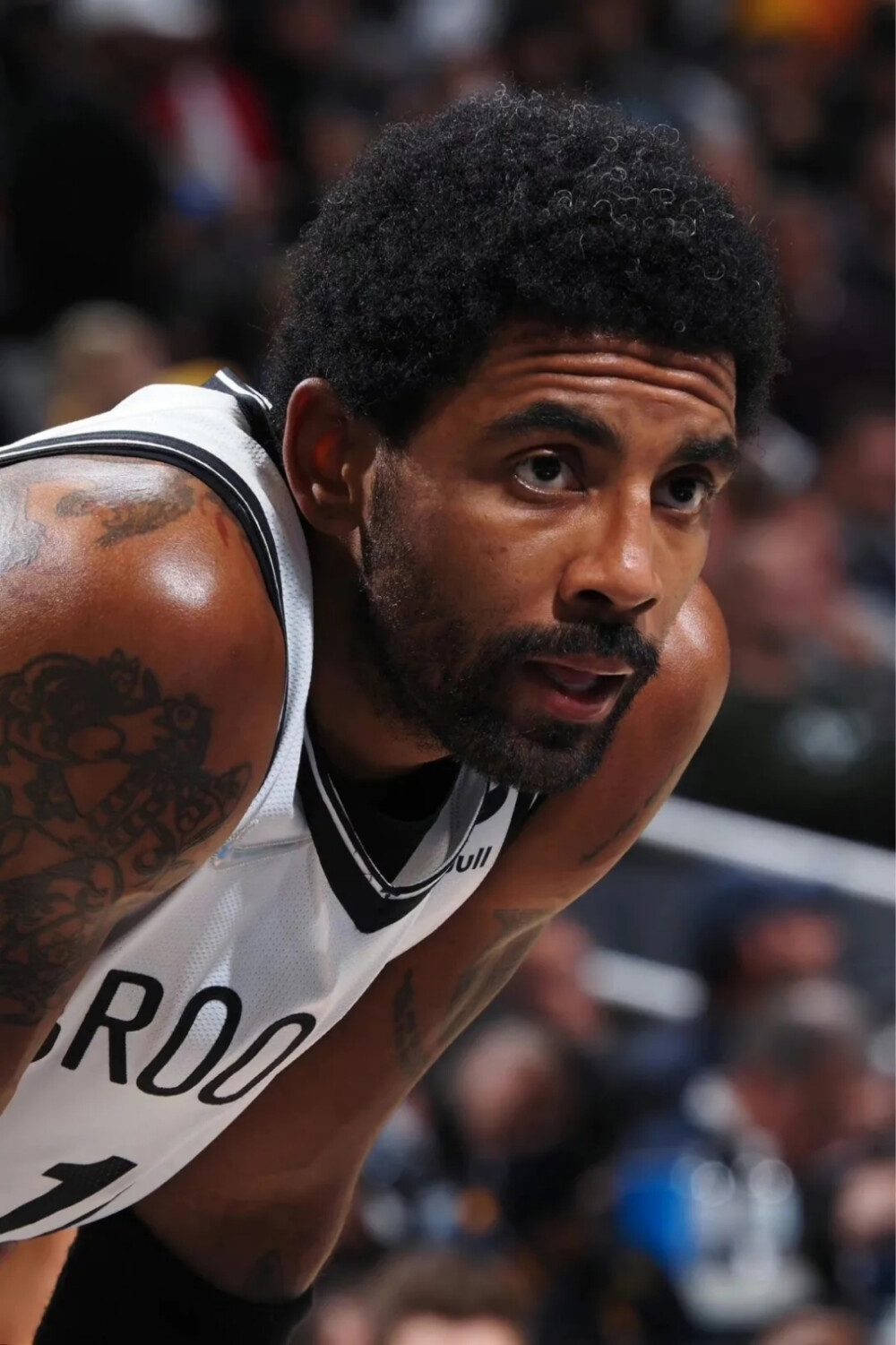 变量从来不 变量从来不