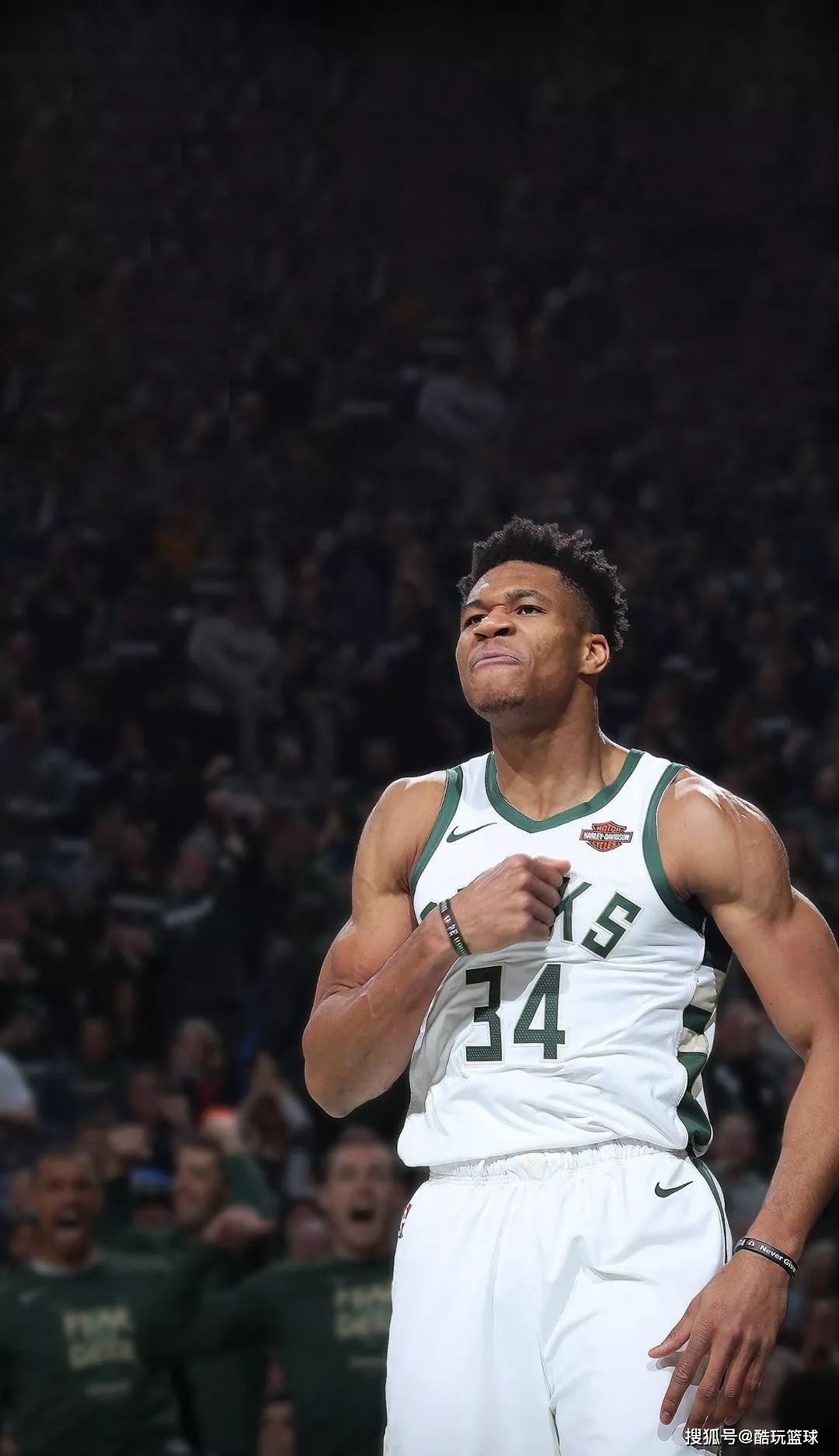 高位压迫 高位压迫