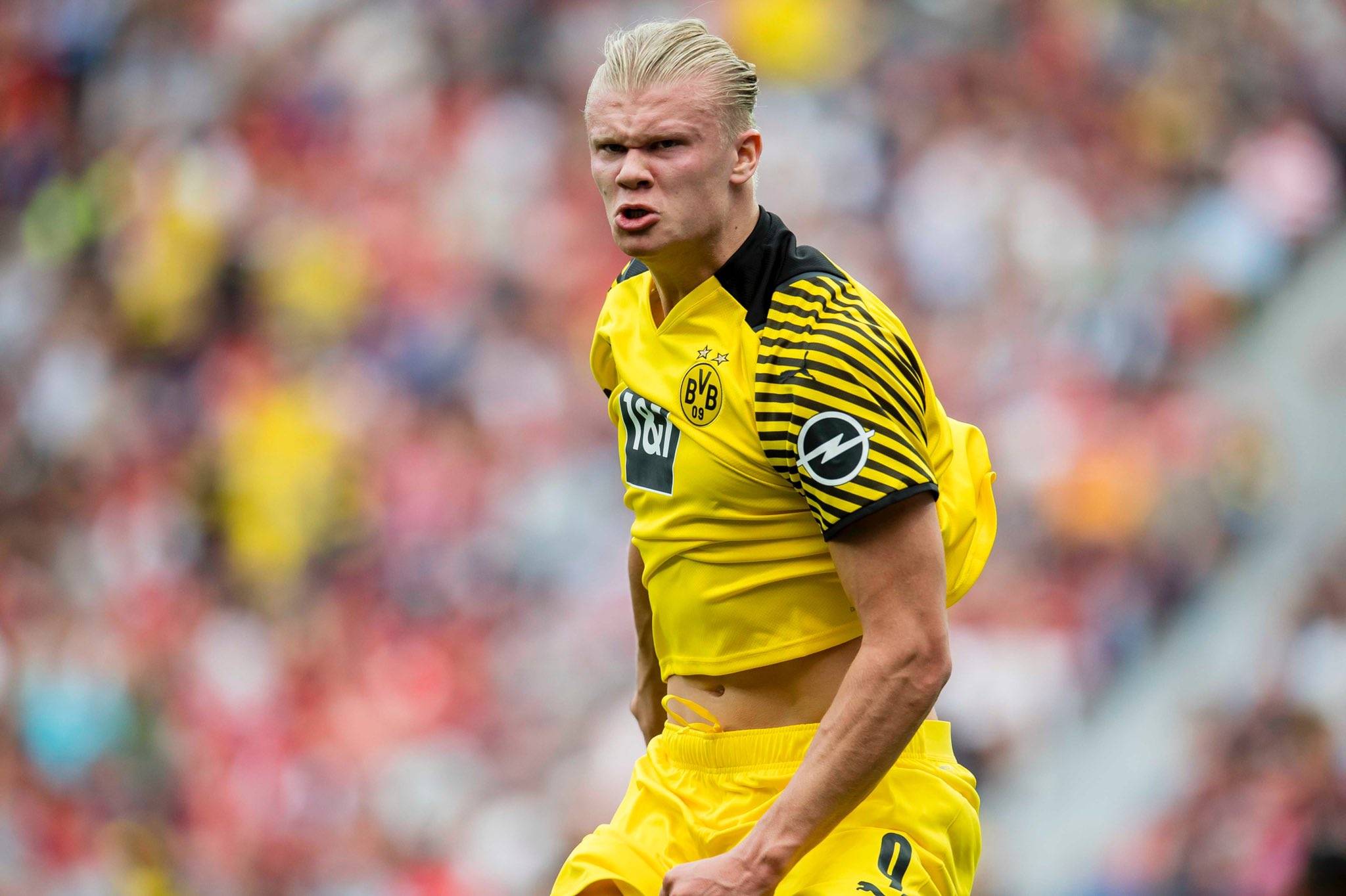 运营叙事强 运营叙事强